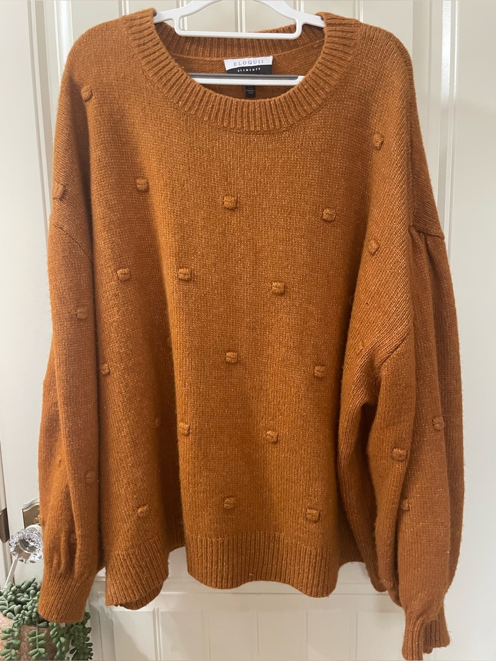 Eloquii Rust Pom-Pom Crewneck Sweater